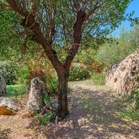 S Aligusta Appartement La Maddalena (Sassari)
